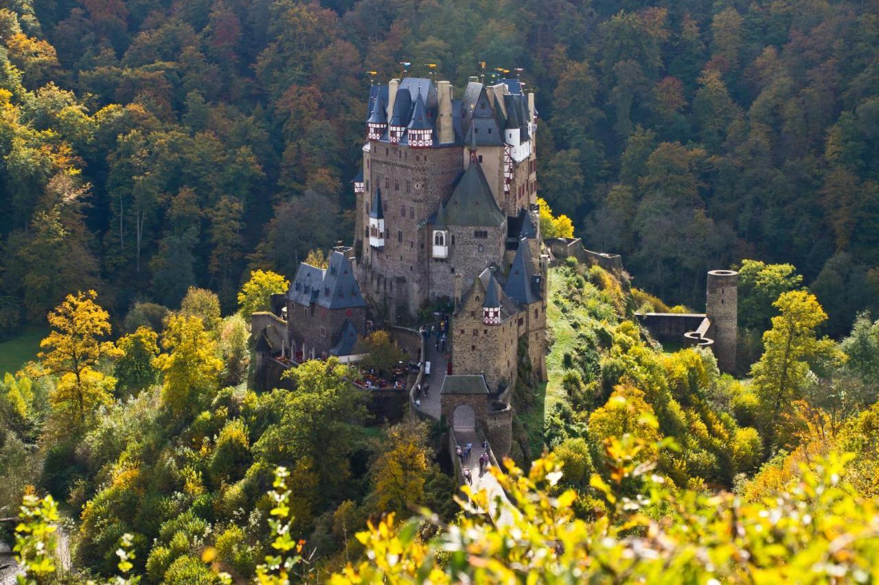 Tiny House Natur-Traum Zur Burg Eltz Wierschem Exteriör bild